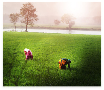 Rural